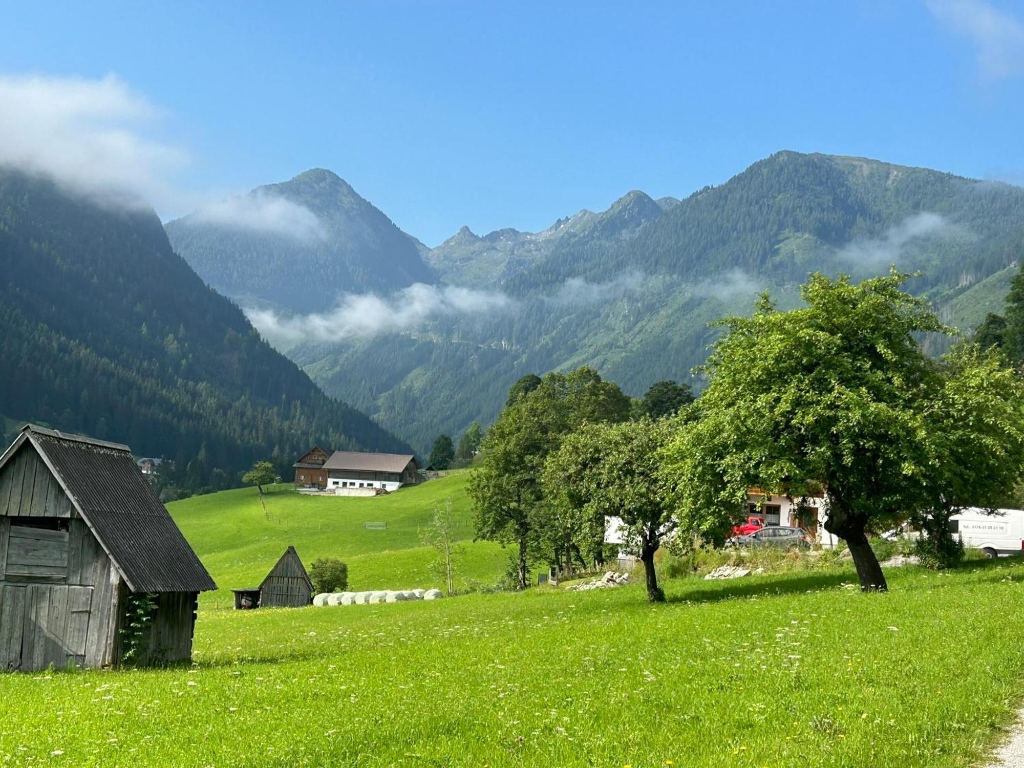 Flatzerhof Lejlighed Haus im Ennstal Eksteriør billede