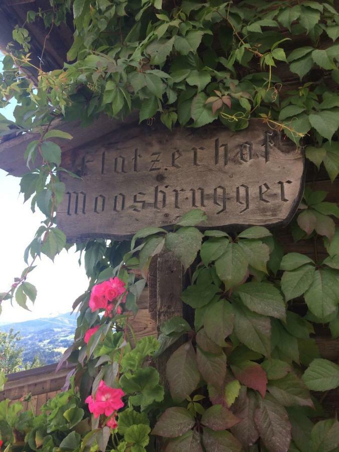 Flatzerhof Lejlighed Haus im Ennstal Eksteriør billede